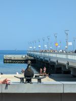 Skater Vogel vor der Seebrücke in Kolberg