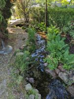 Teichanlage am Hotel Ikar Plaza