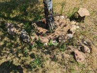 Steinkunst am Grillplatz