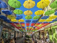 Buntes Regenschirmspektakel in Bad Polzin