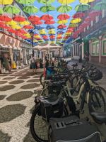 E-Bike-Räder in Polczyn-Zdrój