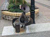 Musikvogel in Kolberg