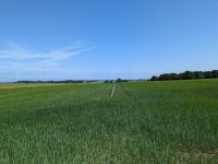 Blick über Felder auf dem Weg nach Debogard