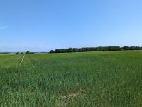 Auf dem Weg nach Debogard