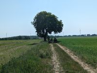 Trinkpause unter einem Baum in Richtung Debogard