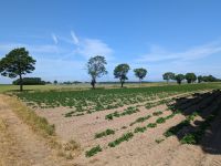 Panoramablick vom Lapidarium in Bardy