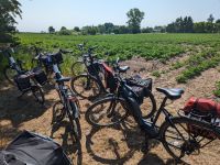 Stopp am Lapidarium in Bardy