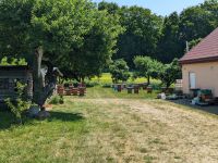 Bienenstöcke bei der Imkerei in Dygowo