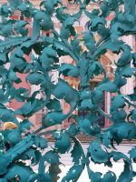 Wallfahrtskirche Heiligelinde (4)