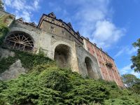 Ansicht des Schlosses Fürstenstein vom Park