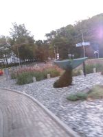 auf dem Weg nach Hause