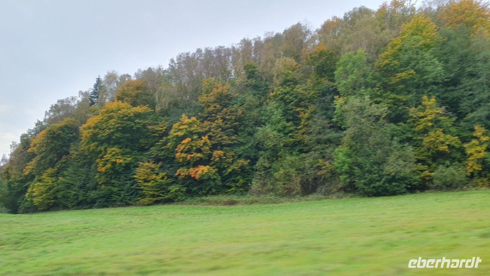 Fahrt durch die Polziner Schweiz 