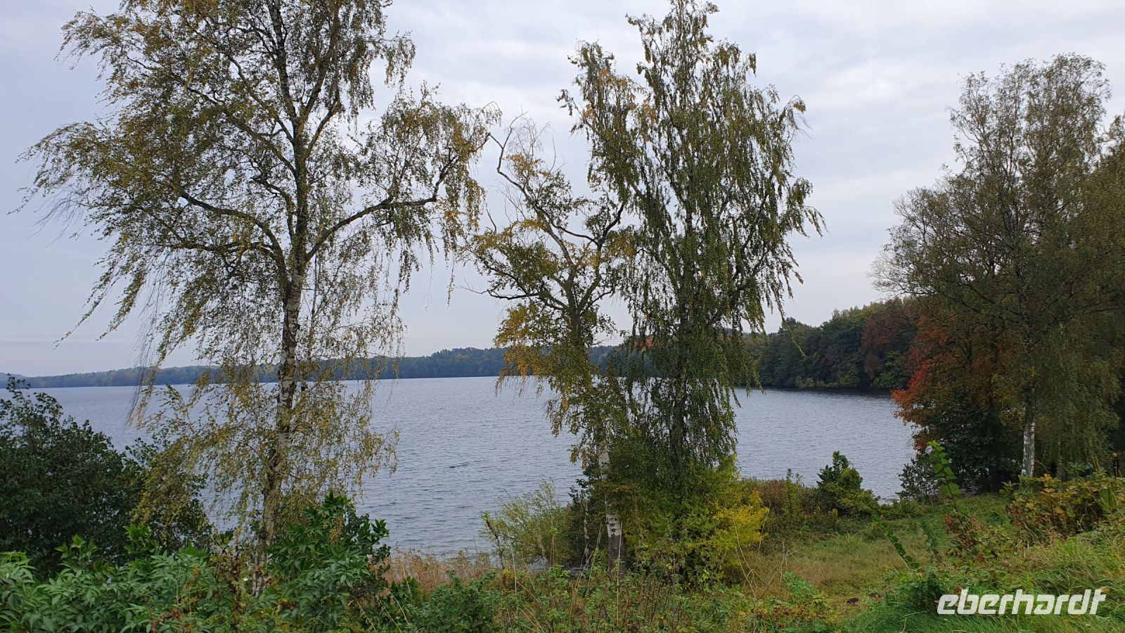 Landzunge zwischen Sarabensee und Dratzigsee