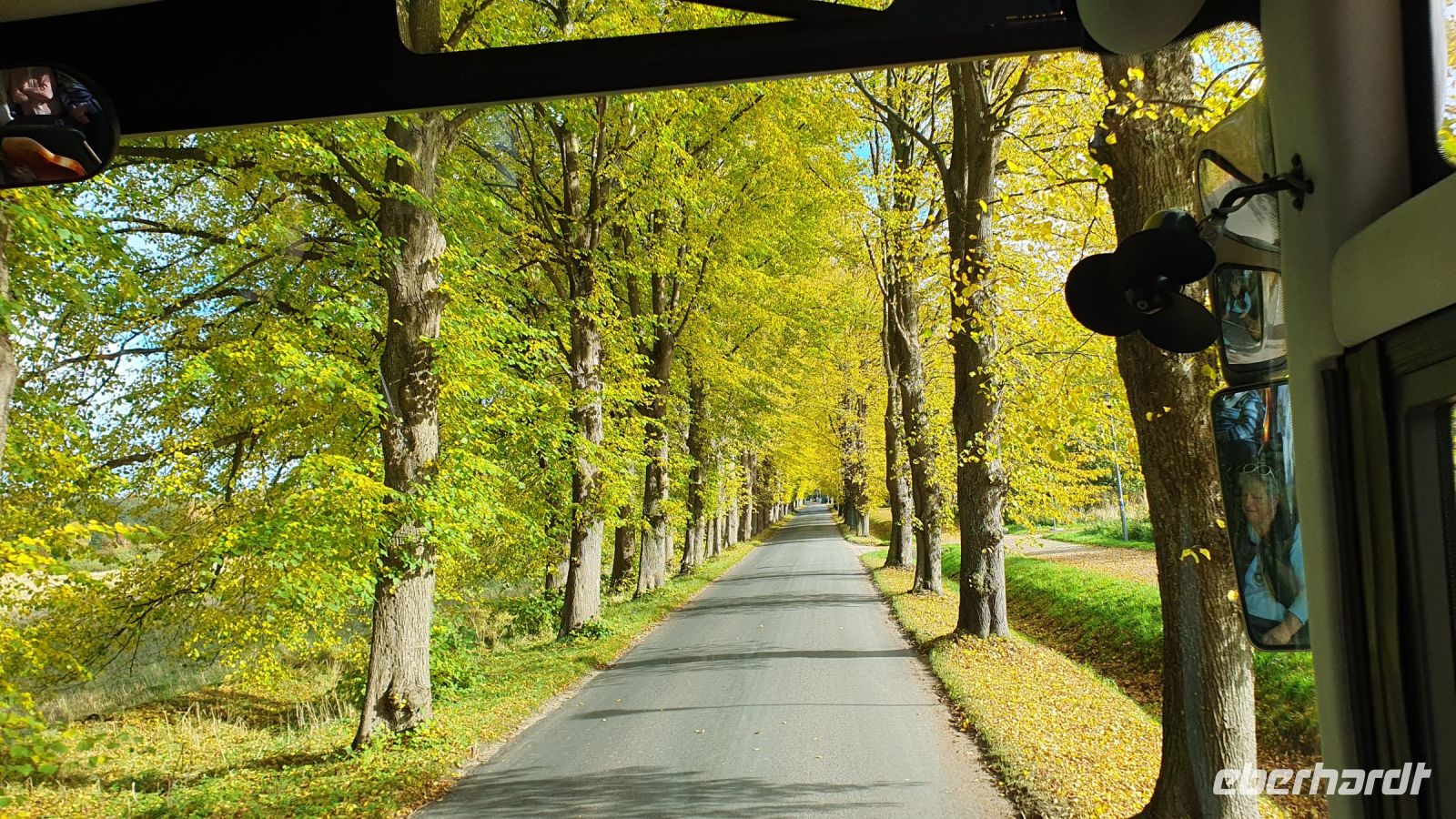 Fahrt durch Herbst-Alleen