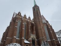 Besichtigung der Dominsel