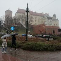 Die Wawelburg im Schneeregen