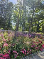 Schloss Moschen - Parkanlage