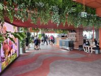 Skaytower - Aussicht-Terrasse