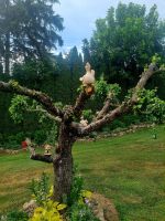 Bei Christel Ostpreussenmuseum (5)