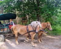 Planwagenfahrt zum Hof von Eulalia (3)