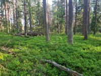 Planwagenfahrt zum Hof von Eulalia (7)