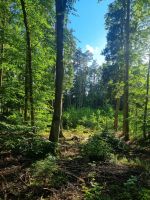 Planwagenfahrt zum Hof von Eulalia (8)