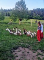 Bauernhochzeit bei Eulalia  (8)