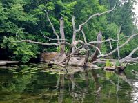 Staakenbootfahrt Krutinja (1)