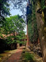 Die Marienburg Malbork (13)