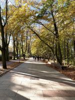 Promenade vor dem Hotel