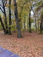 Letzter gemeinsamer Spaziergang 