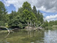 Stakenbootsfahrt auf der Krutynia