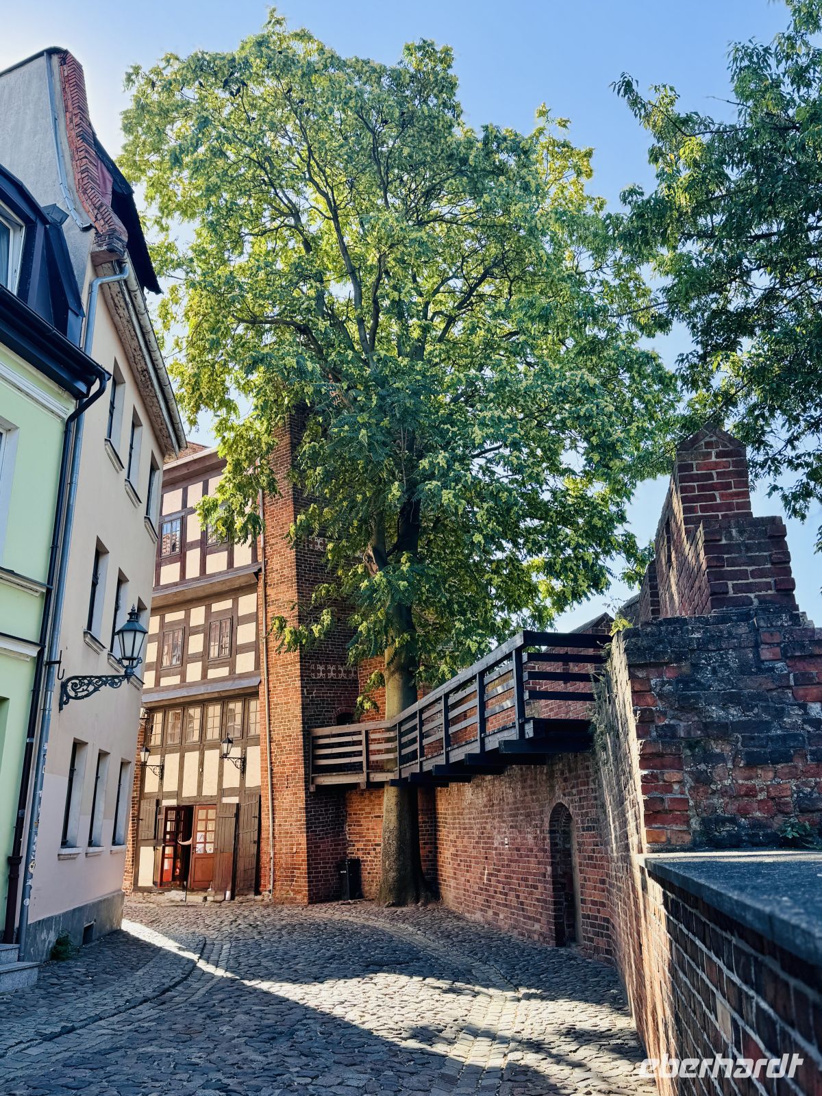 Tag 3 - Stadtmauer, Thorn &ndash; &copy;  (Eberhardt TRAVEL)