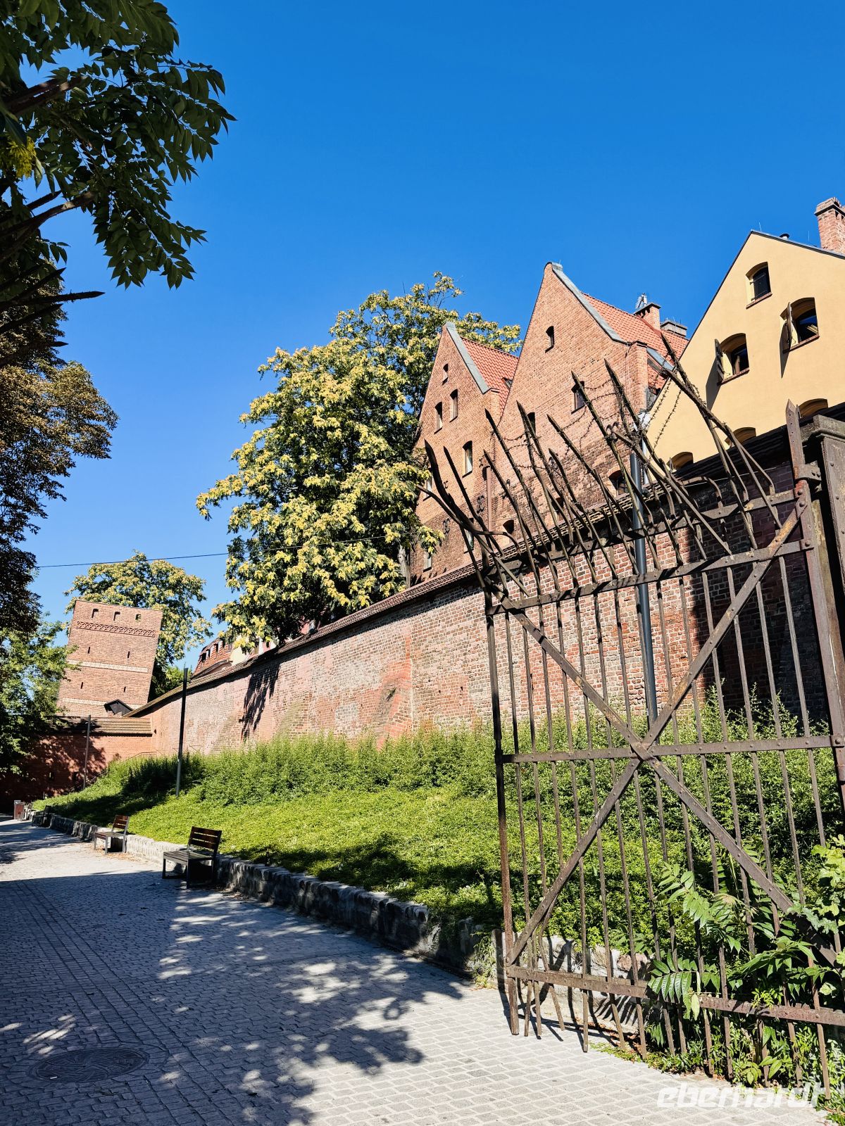 Tag 3 - Schiefer Turm von Thorn &ndash; &copy;  (Eberhardt TRAVEL)