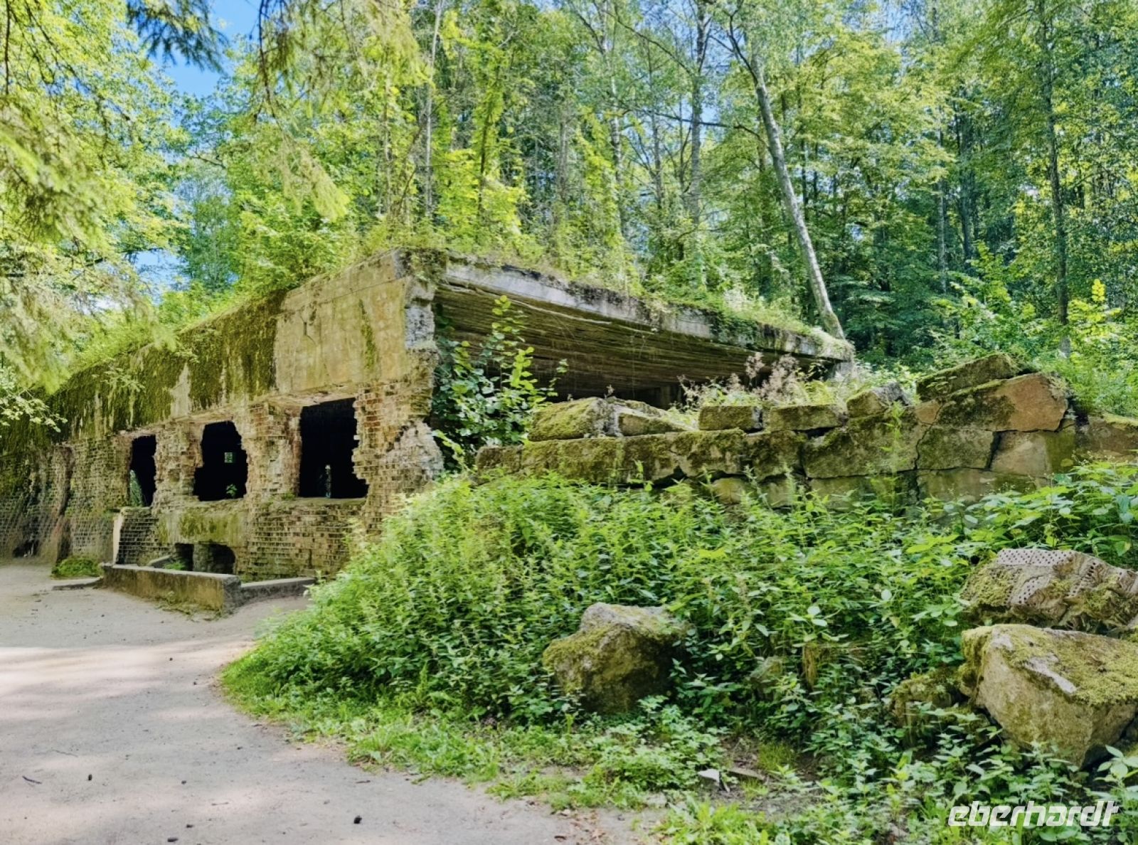 Tag 6 - Wolfsschanze  &ndash; &copy;  (Eberhardt TRAVEL)