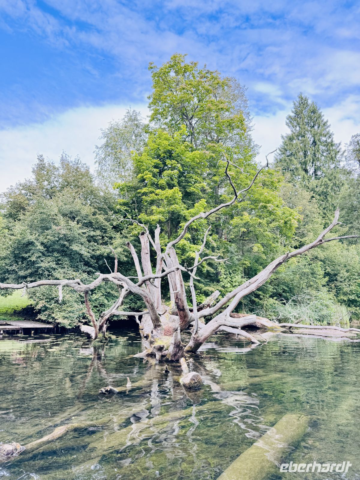 Tag 7 - Staakenbootsfahrt auf der Krutynia, Krutyn  &ndash; &copy;  (Eberhardt TRAVEL)