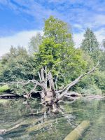 Tag 7 - Staakenbootsfahrt auf der Krutynia, Krutyn  &ndash; &copy; Christin Kuschka (Eberhardt TRAVEL)