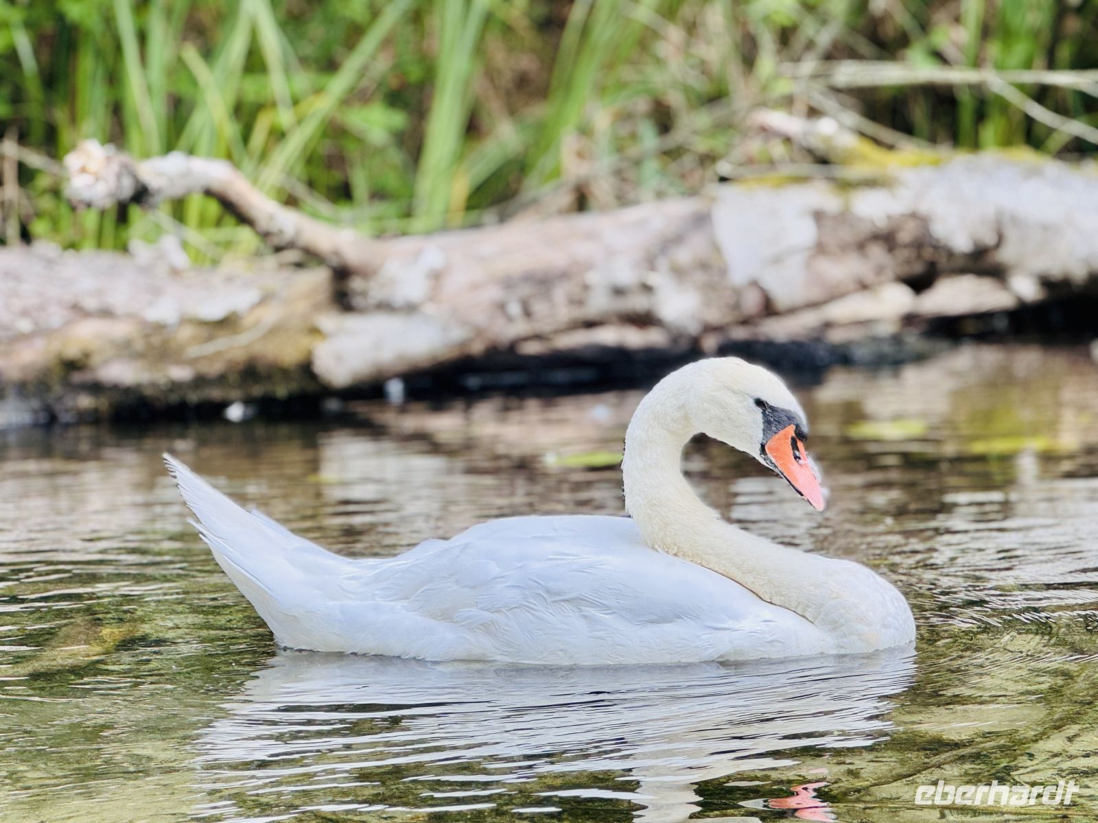 Tag 7 - Staakenbootsfahrt auf der Krutynia, Krutyn  &ndash; &copy;  (Eberhardt TRAVEL)