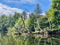 Tag 7 - Staakenbootsfahrt auf der Krutynia, Krutyn  &ndash; &copy; Christin Kuschka (Eberhardt TRAVEL)