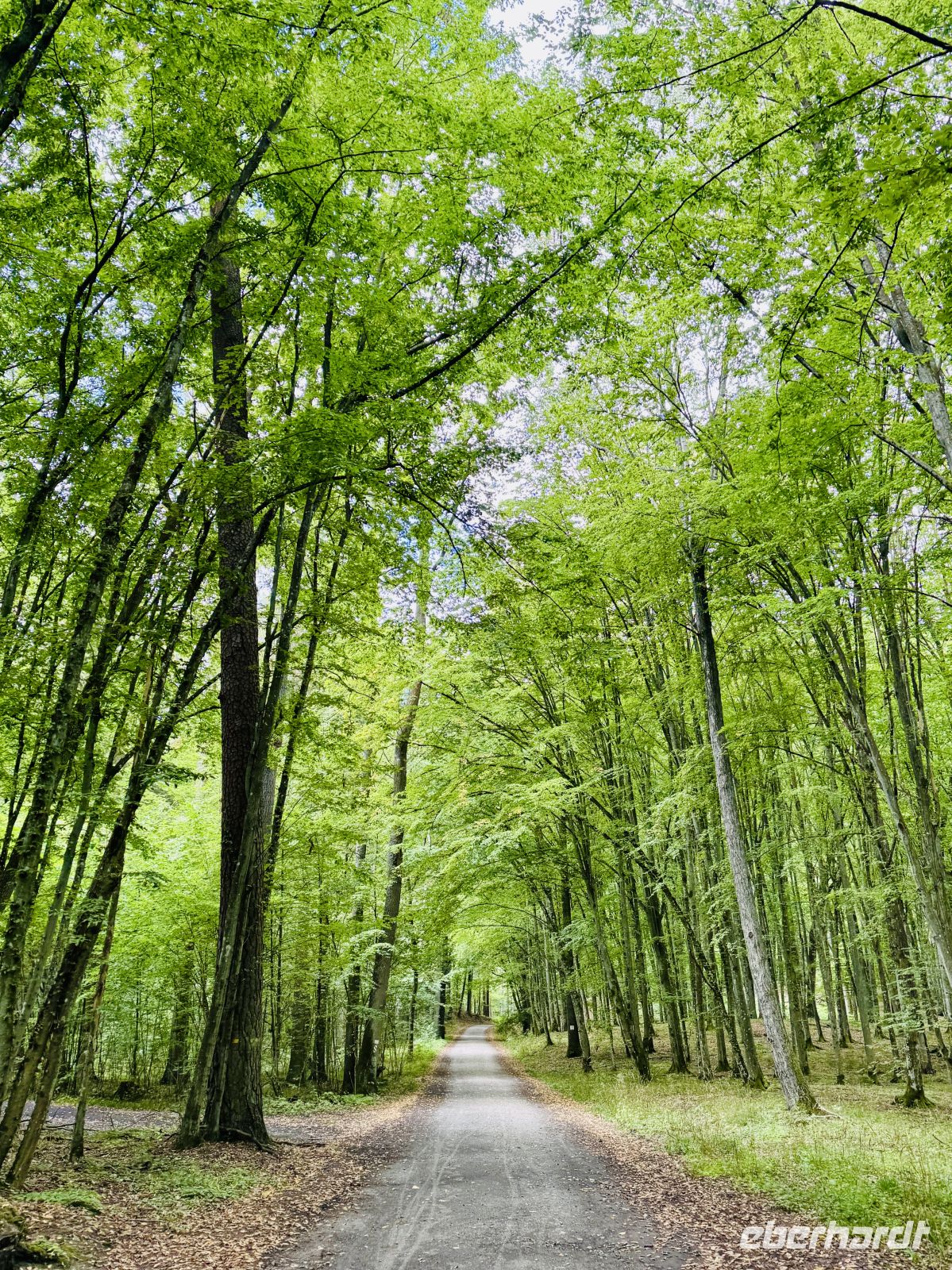 Tag 7 - Spaziergang zum Naturdenkmal “Zakochana Para” - das “Verliebte Paar”, Krutyn  &ndash; &copy;  (Eberhardt TRAVEL)