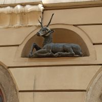 : Glatz [poln. K*odzko]: Rundgang