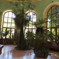 Bad Kudowa [poln. Kudowa Zdrój]: Rundgang: Trinkhalle