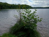 Der Brunnensee bei Goscino