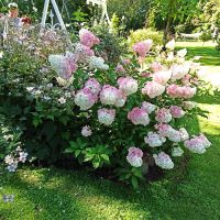 Masuren: Rundfahrt: Ostpreußenmuseum bei Christel