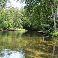 Masuren: Rundfahrt: Stakenbootfahrt auf der Krutynia