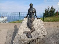 Die Meerjungfrau von Hoff