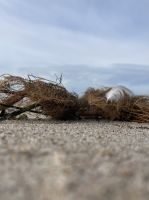 Polen, Kolberg, Strandimpressionen &ndash; &copy; Sabine C. Seifert (Eberhardt TRAVEL)