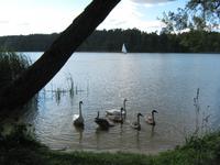 An der Fähre hatten wir besondere Begleitung