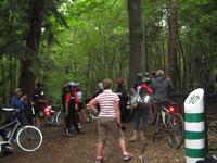 Im tiefen masurischen Wald