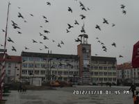 Rathausplatz in Koszalin